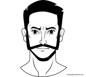 37 Best Beard Styles - Find Facial Hair Styles You Will Love